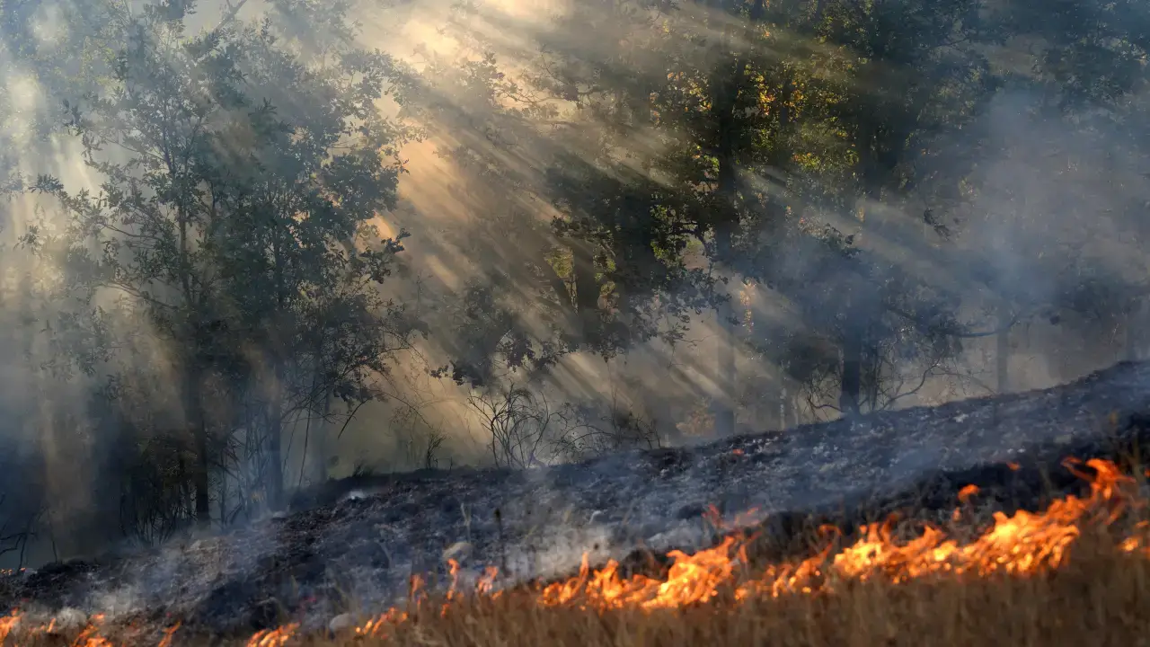 Gráfico de temperatura
